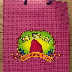 Shanghai Tang NEW RARE Building Print PAPER Bag-Perfect Condition Sticker incl.